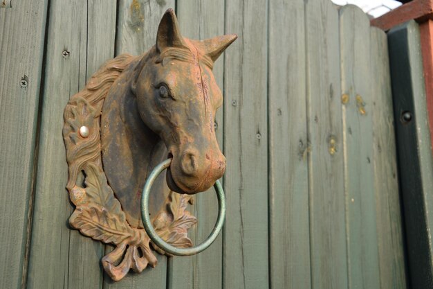 Foto close-up de um cavalo