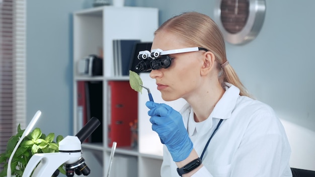 Foto close-up de um cientista examinando uma folha em laboratório