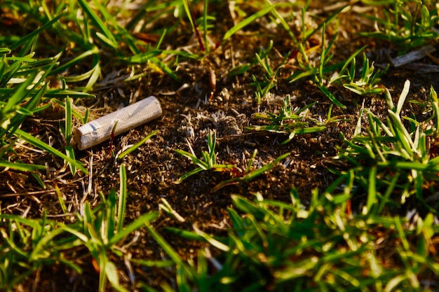 Close-up de um cigarro no campo
