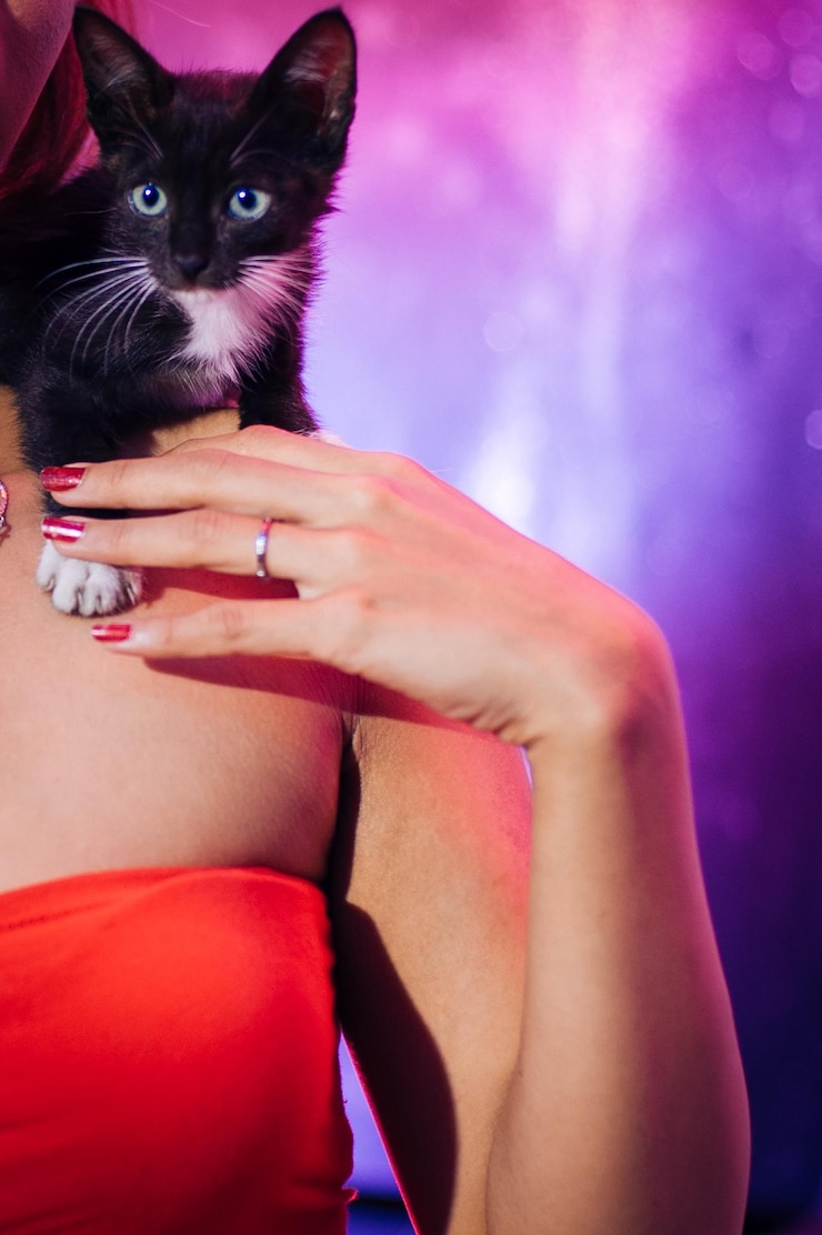 Foto close-up de um gatinho no ombro de uma mulher