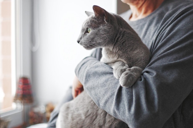 Close-up de um gato olhando para longe em casa