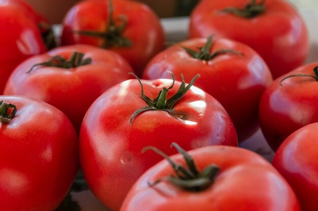 Close up de um grupo de tomates maduros e frescos em cima da mesa