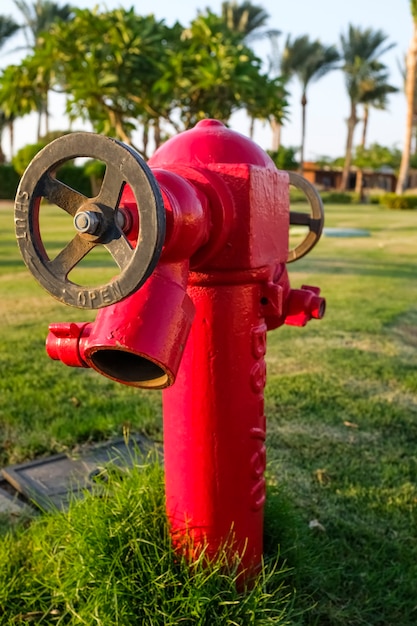 Foto close-up de um hidrante vermelho no deserto. areia e mar. praia e palmeiras. foto de alta qualidade