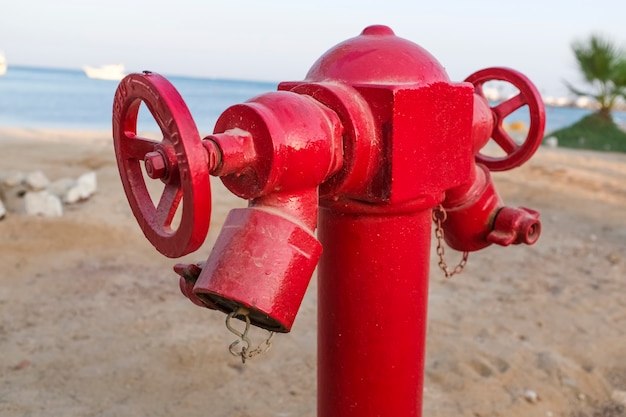 Close-up de um hidrante vermelho no deserto. Areia e mar. Praia e palmeiras. Foto de alta qualidade