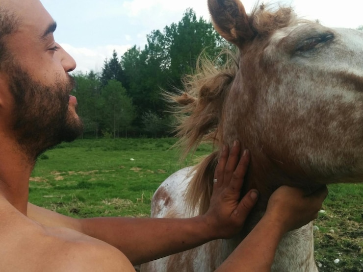 Foto close-up de um homem a acariciar um cavalo numa quinta