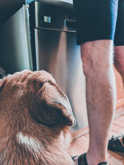 Foto close-up de um homem com um cão