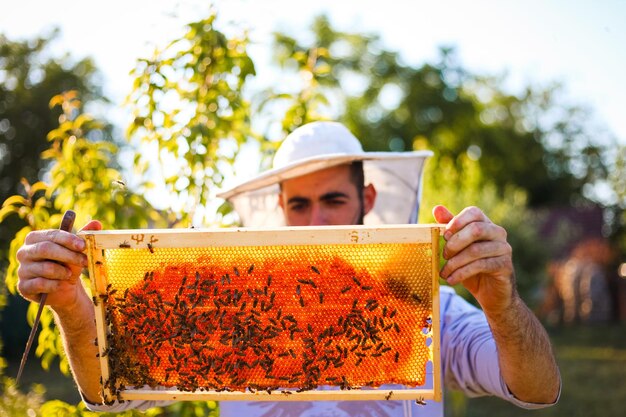 Foto close-up de um homem segurando uma colmeia de abelhas em uma fazenda