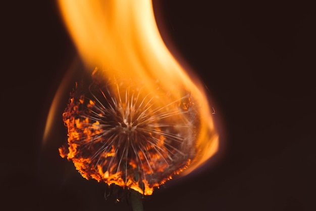 Foto close-up de um incêndio à noite