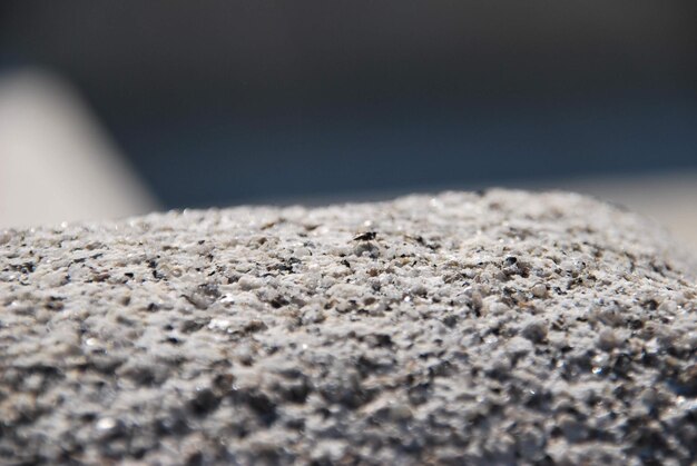 Foto close-up de um inseto em pedra
