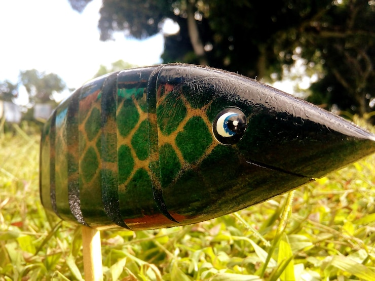 Foto close-up de um inseto na planta