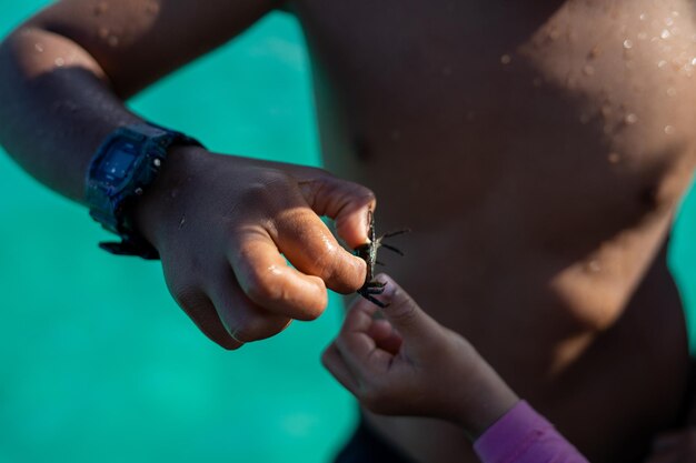 Foto close-up de um menino segurando um caranguejo ao ar livre