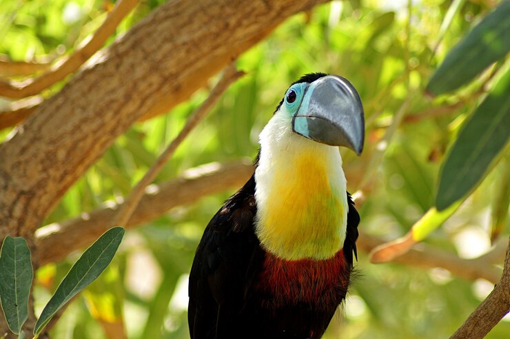 Foto close-up de um pássaro empoleirado em um galho