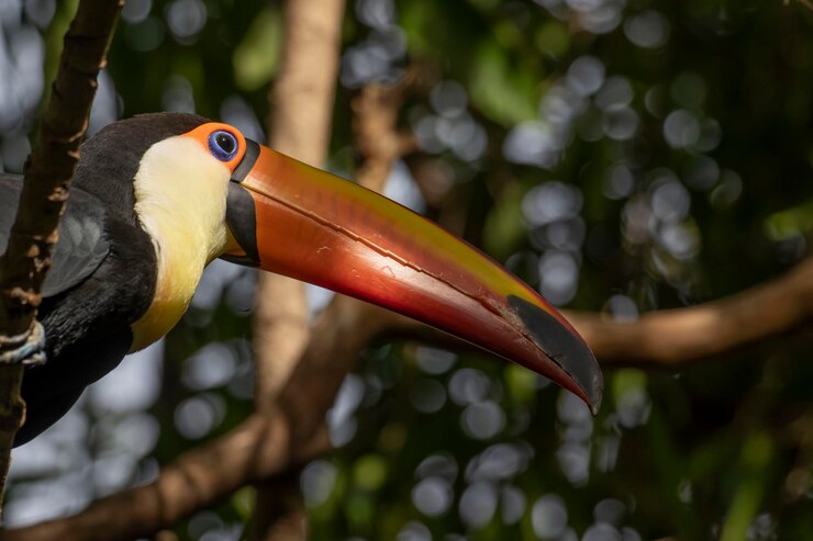 Foto close-up de um pássaro empoleirado em um galho