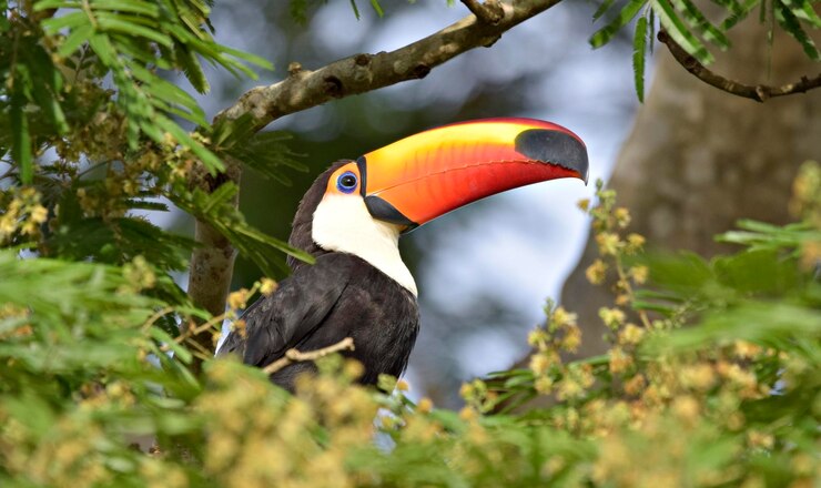 Foto close-up de um pássaro empoleirado em uma árvore
