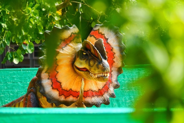 Foto close-up de um pássaro