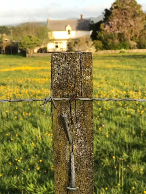 Close-up de um poste de madeira de cerca em um campo gramado