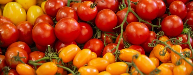 Close-up de um tipo de tomate fresco no mercado, conceito de alimentos e vegetais