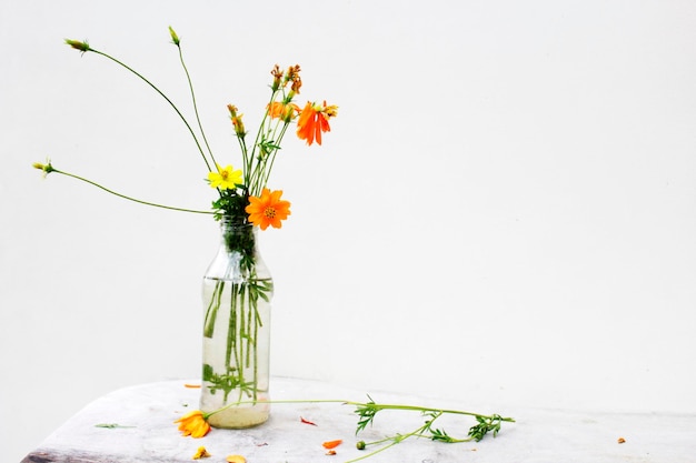 Close-up de um vaso de flores na mesa contra um fundo branco