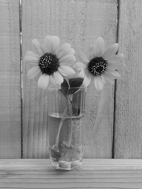 Close-up de um vaso de flores na mesa