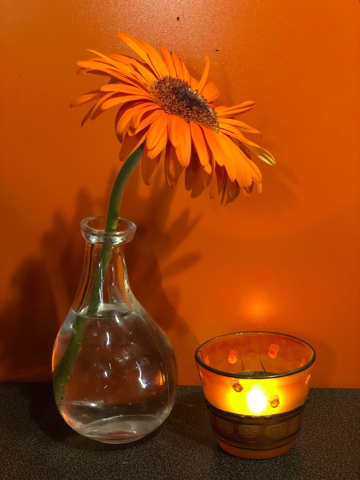 Foto close-up de um vaso de flores na mesa