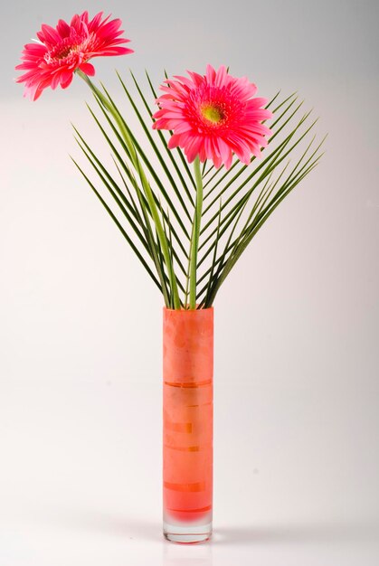 Foto close-up de um vaso de flores vermelhas contra fundo branco