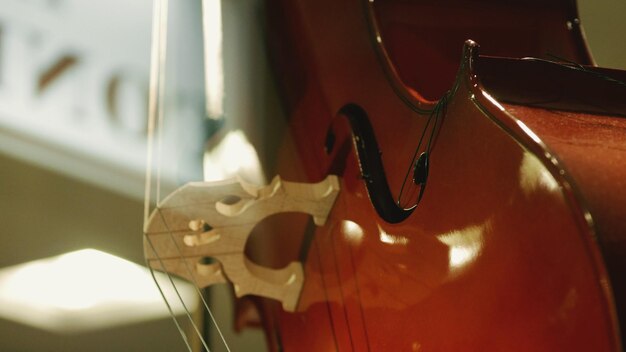 Foto close-up de um violino