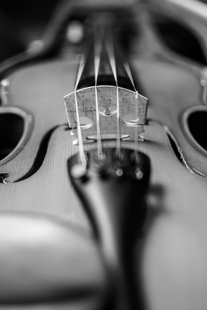 Foto close-up de um violino