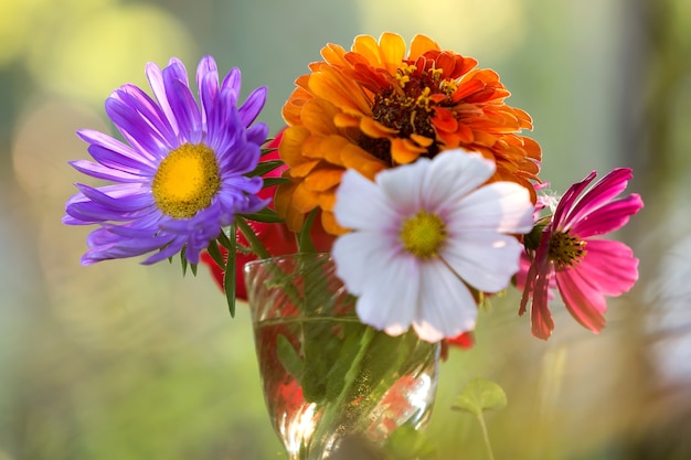 Close-up de uma bela composição de flores de campo multicoloridas brilhantes de outono em um vaso de vidro transparente ao ar livre em um sol desfocado