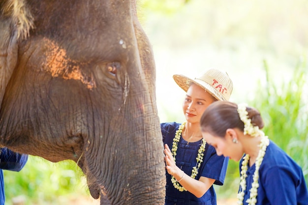 Close-up de uma bela mulher rural tailandesa tocando e brincando com a tromba de um elefante asiático