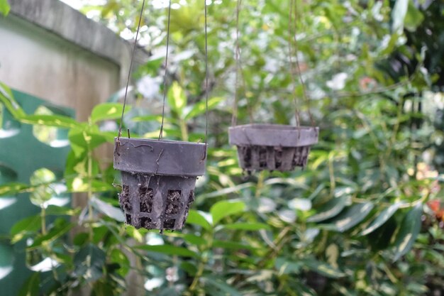 Foto close-up de uma casa de pássaros em uma planta no quintal