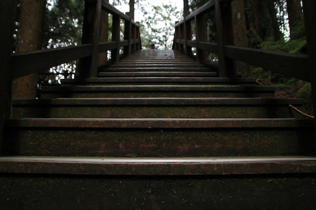 Close up de uma escada de madeira na Área de Recreação da Floresta Nacional de Alishan em Chiayi County, Alishan Township, Taiwan