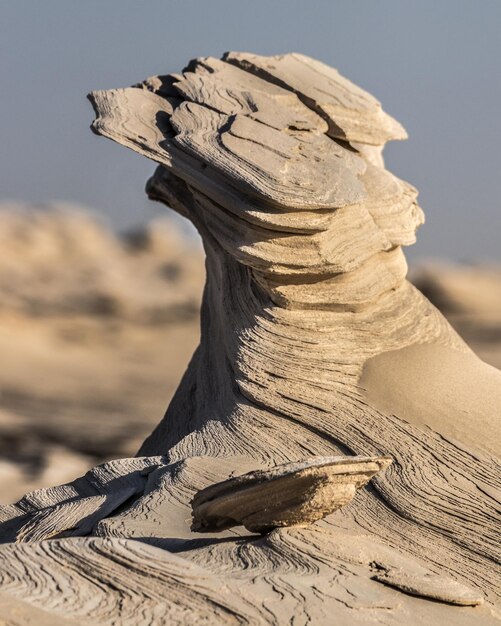 Close-up de uma estátua de areia