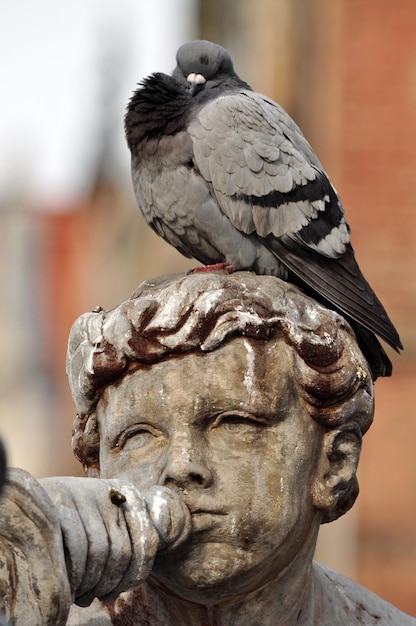 Foto close-up de uma estátua de pássaro