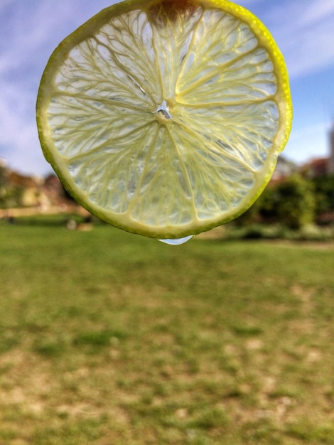 Foto close-up de uma fatia de limão