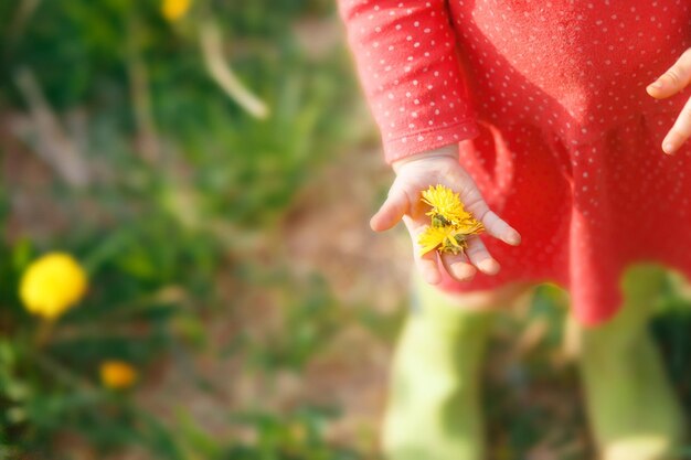 Close-up de uma flor amarela