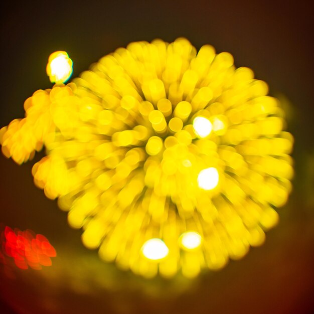 Close-up de uma flor amarela