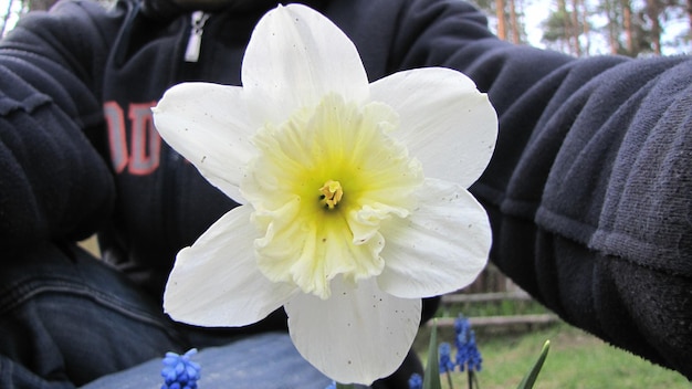 Close-up de uma flor branca