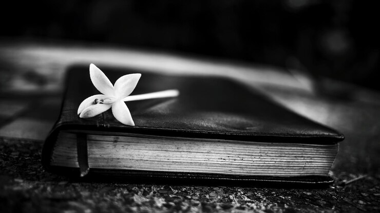 Foto close-up de uma flor em um livro