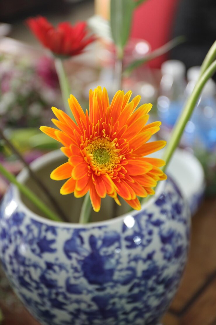 Foto close-up de uma flor florescendo ao ar livre