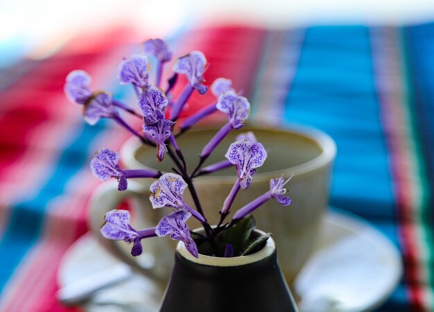 Foto close-up de uma flor roxa em pote