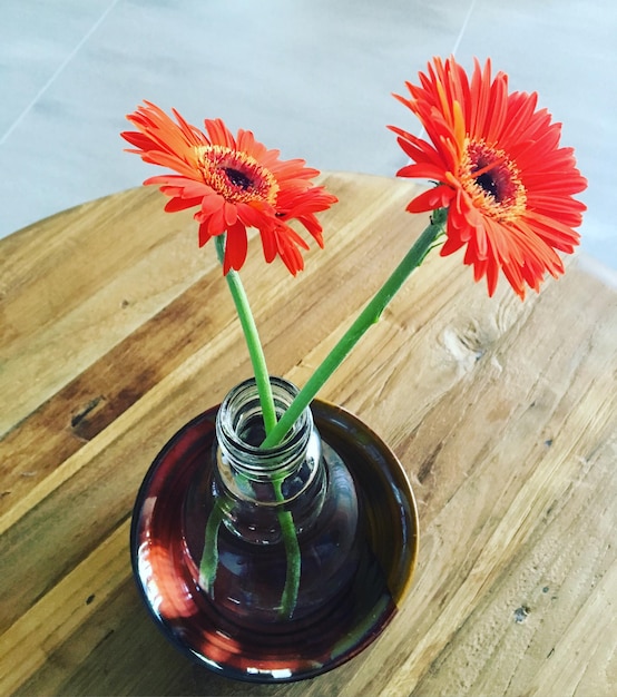 Close-up de uma flor