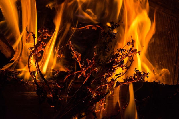 Foto close-up de uma fogueira