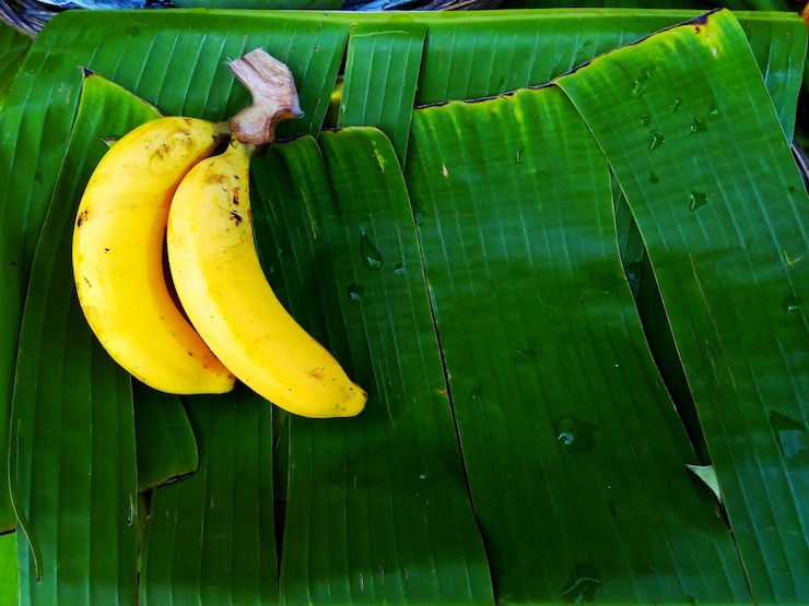 Foto close-up de uma folha de banana na planta