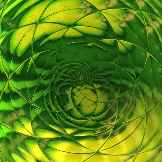 Close-up de uma folha verde