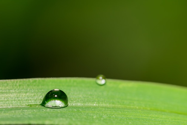 Close-up de uma gota de água na grama