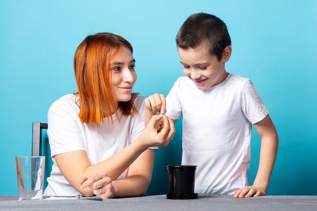 Close-up de uma mãe e um filho fazendo buracos no chão e afrouxando o solo para plantar uma semente e crescer uma planta de casa em uma mesa contra um fundo azul.