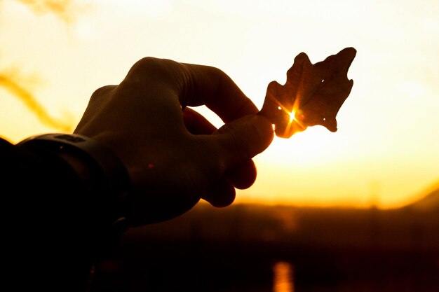 Foto close-up de uma mão de silhueta segurando uma folha contra o céu durante o pôr do sol