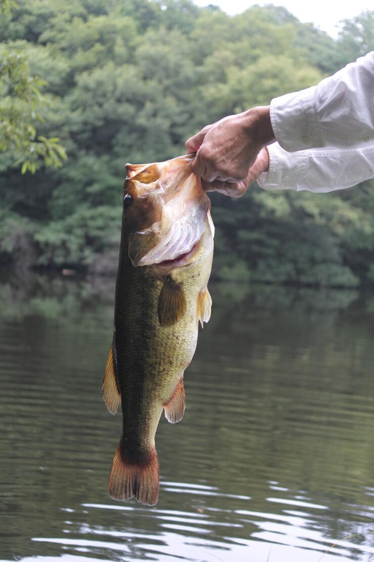 Foto close-up de uma mão segurando água em um lago