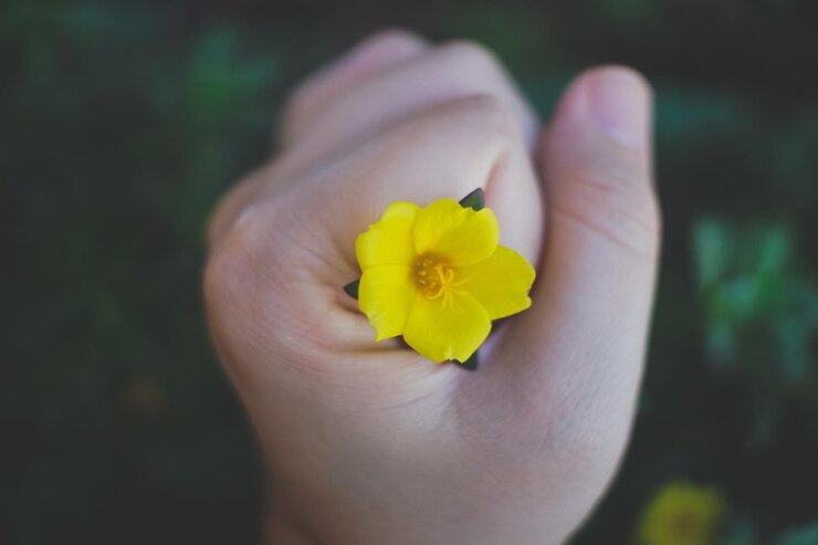 Foto close-up de uma mão segurando uma flor amarela