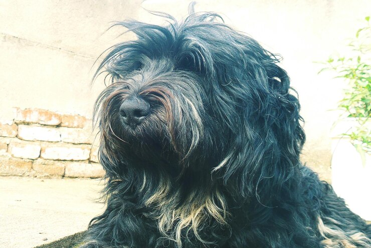 Foto close-up de uma mulher